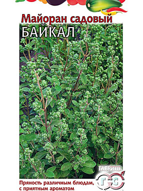 Майоран Байкал садовый 0,1 гр