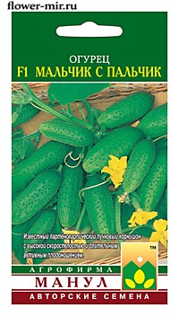 Огурец Мальчик с пальчик F1 10 шт