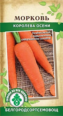 Морковь Королева Осени 2 гр 